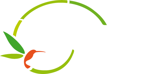A.S.D. Bamboo